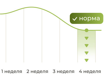 Ваш ИМТ